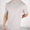 Day To Day Slim Fit T-Shirt - Grey(Day To Day Slim Fit T Shirt Grey)